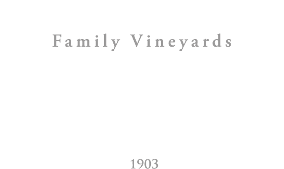 Logotipo Ignacio Marín Blanco